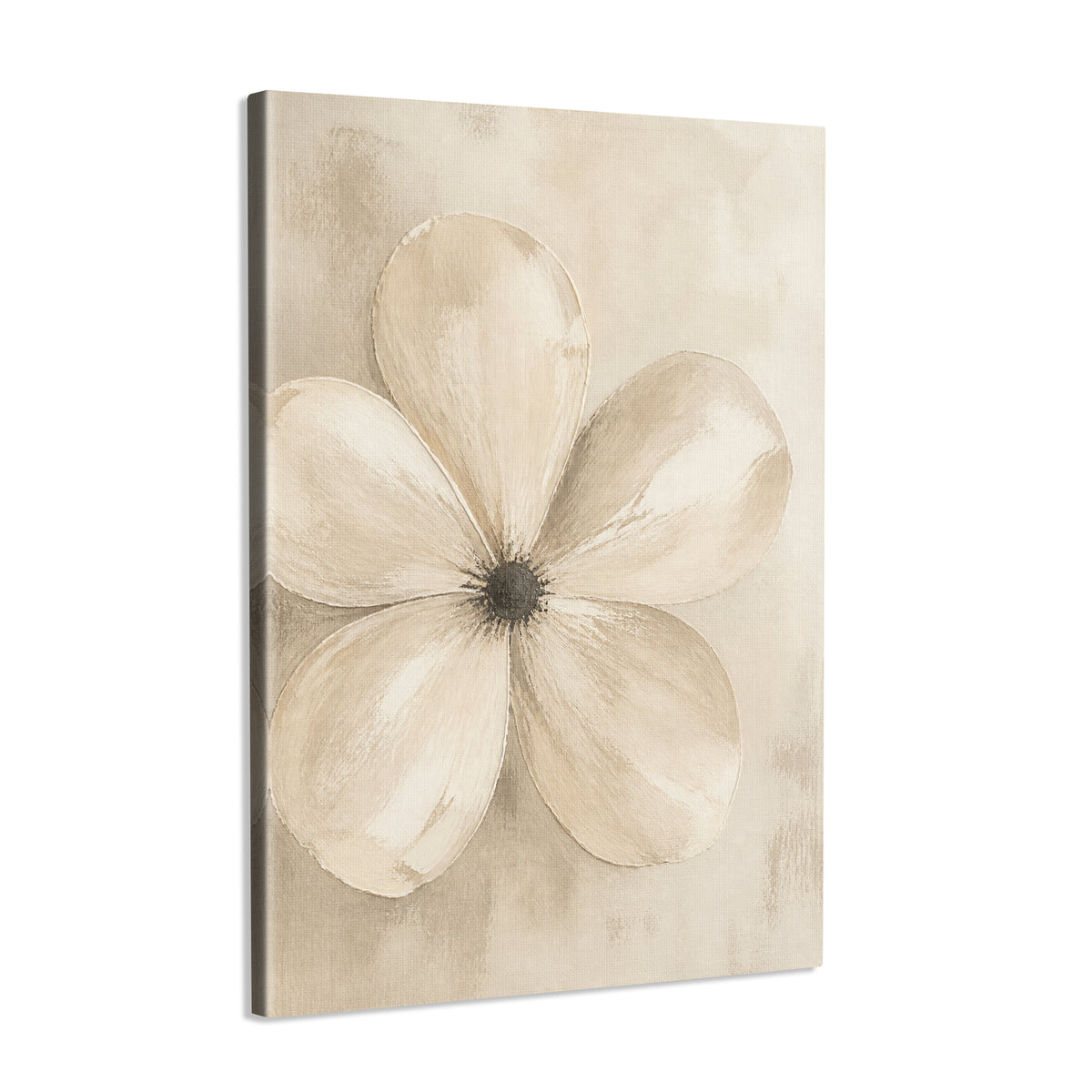 INVIN ART Framed Canvas 100% Handpainted Oil Painting Five Pale Petals Wall Art
