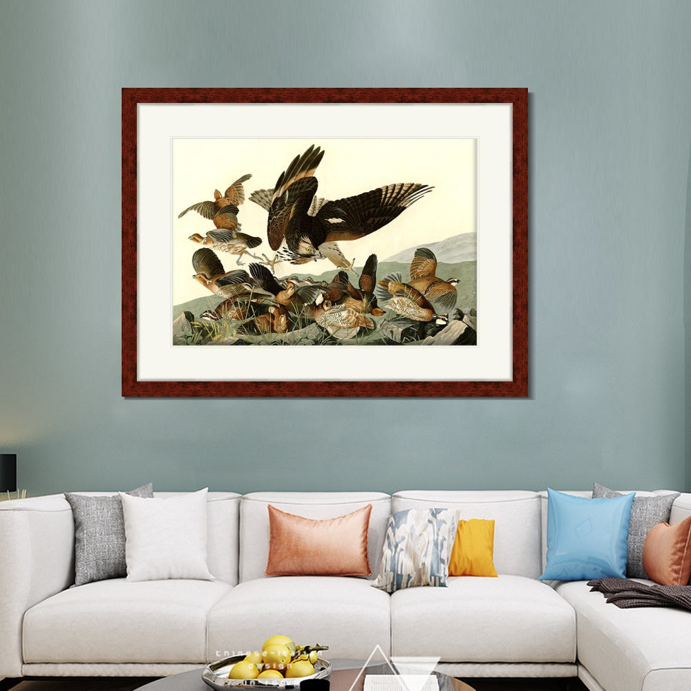 INVIN ART Framed Canvas Art Giclee Print Virginian_Partridge by John James Audubon  Home Office Wall Art Decorations