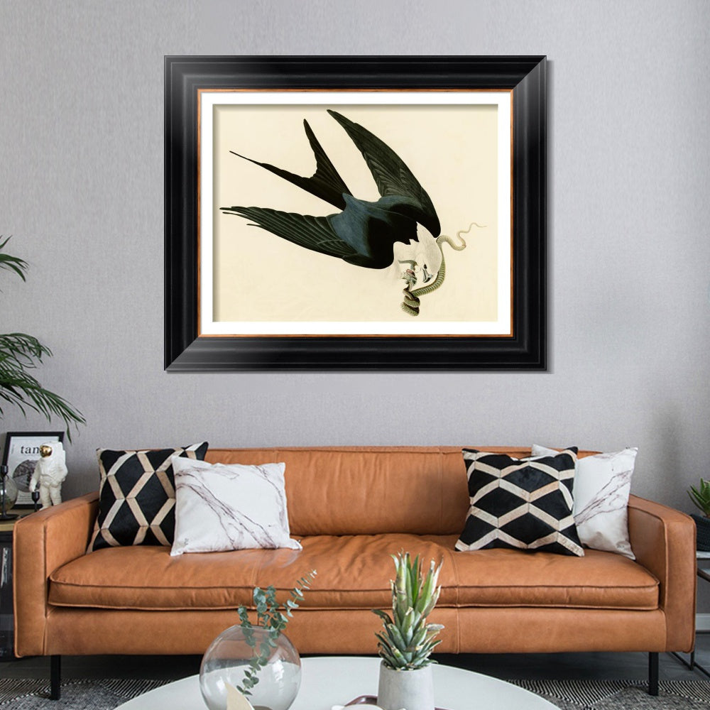 INVIN ART Framed Canvas Art Giclee Print Swallow Tailed Hawk by John James Audubon Living Room Home Office Wall Art Decorations