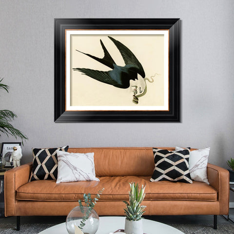 INVIN ART Framed Canvas Art Giclee Print Swallow Tailed Hawk by John James Audubon Living Room Home Office Wall Art Decorations