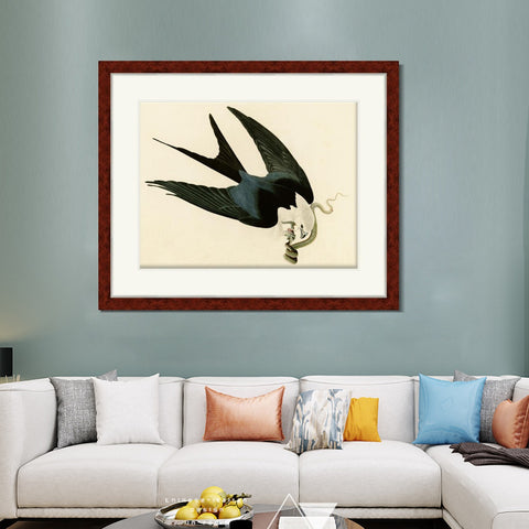 INVIN ART Framed Canvas Art Giclee Print Swallow Tailed Hawk by John James Audubon Living Room Home Office Wall Art Decorations