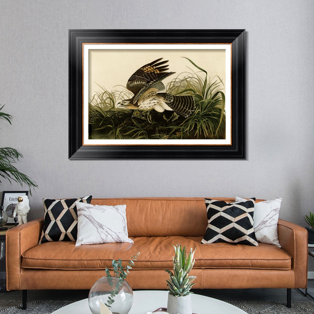 INVIN ART Framed Canvas Art Giclee Print Winter Hawk by John James Audubon  Home Office Wall Art Decorations