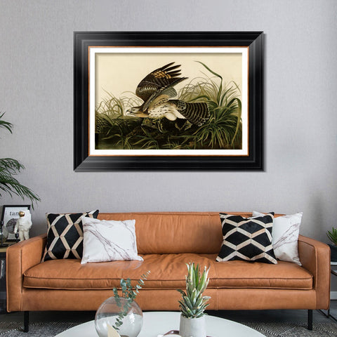 INVIN ART Framed Canvas Art Giclee Print Winter Hawk by John James Audubon Living Room Home Office Wall Art Decorations