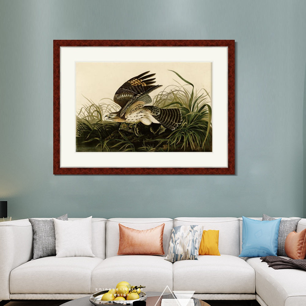 INVIN ART Framed Canvas Art Giclee Print Winter Hawk by John James Audubon  Home Office Wall Art Decorations
