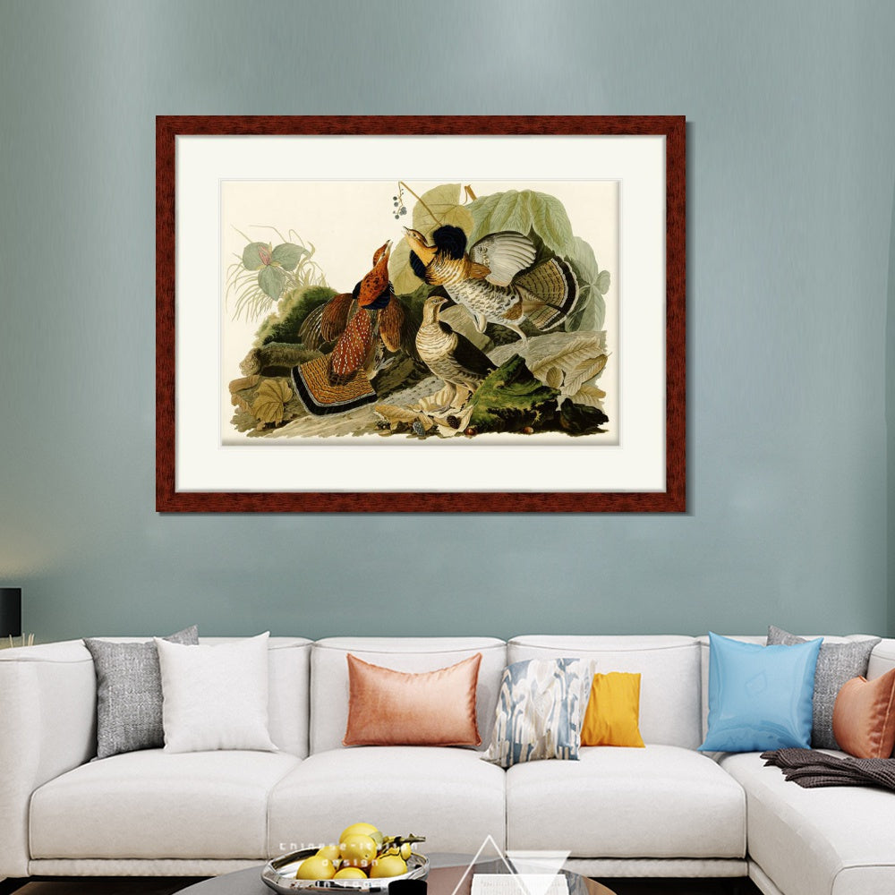 INVIN ART Framed Canvas Art Giclee Print Ruffed Grouse by John James Audubon  Home Office Wall Art Decorations