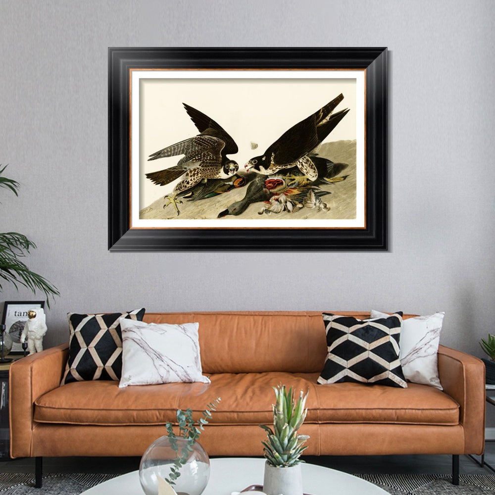 INVIN ART Framed Canvas Art Giclee Print Great Footed Hawk by John James Audubon  Home Office Wall Art Decorations