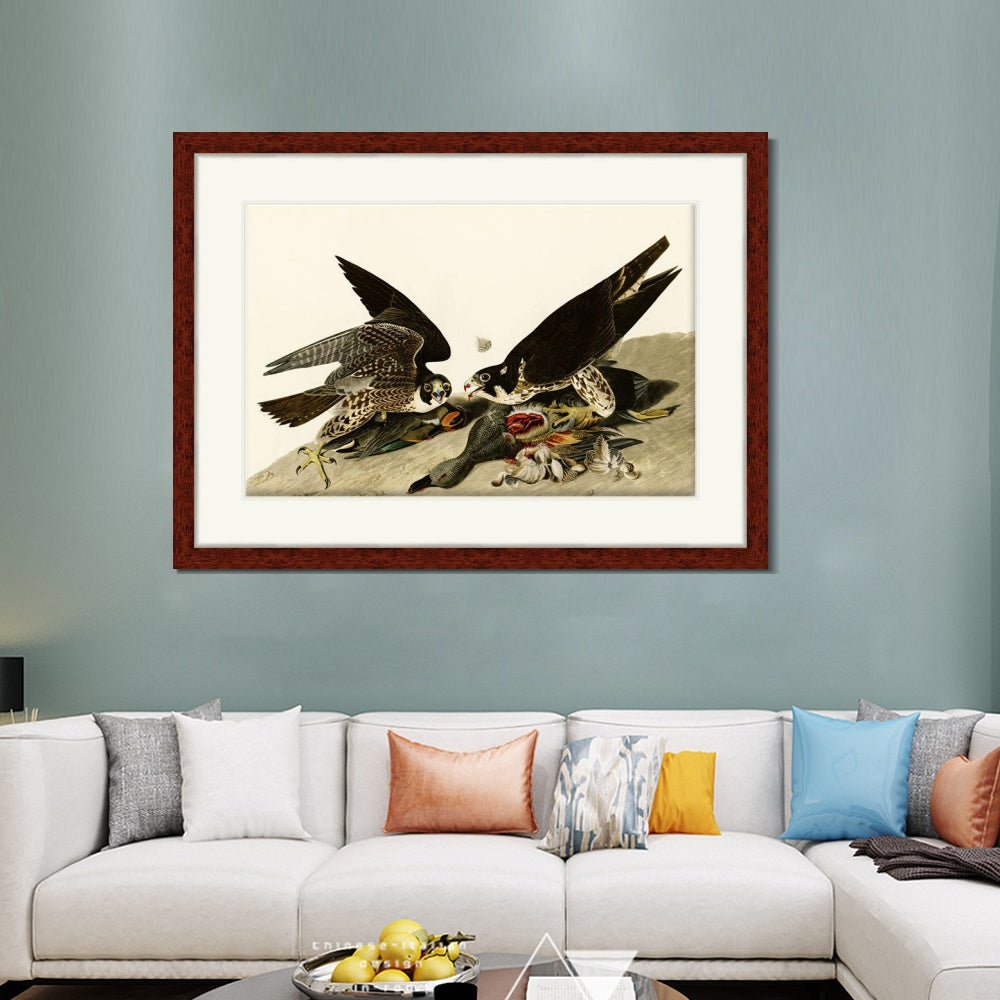 INVIN ART Framed Canvas Art Giclee Print Great Footed Hawk by John James Audubon  Home Office Wall Art Decorations