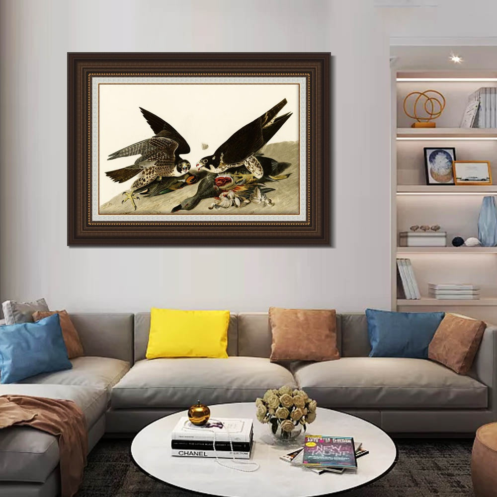 INVIN ART Framed Canvas Art Giclee Print Great Footed Hawk by John James Audubon  Home Office Wall Art Decorations