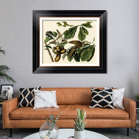 INVIN ART Framed Canvas Art Giclee Print Yellow Billed Cuckoo by John James Audubon Living Room Home Office Wall Art Decorations
