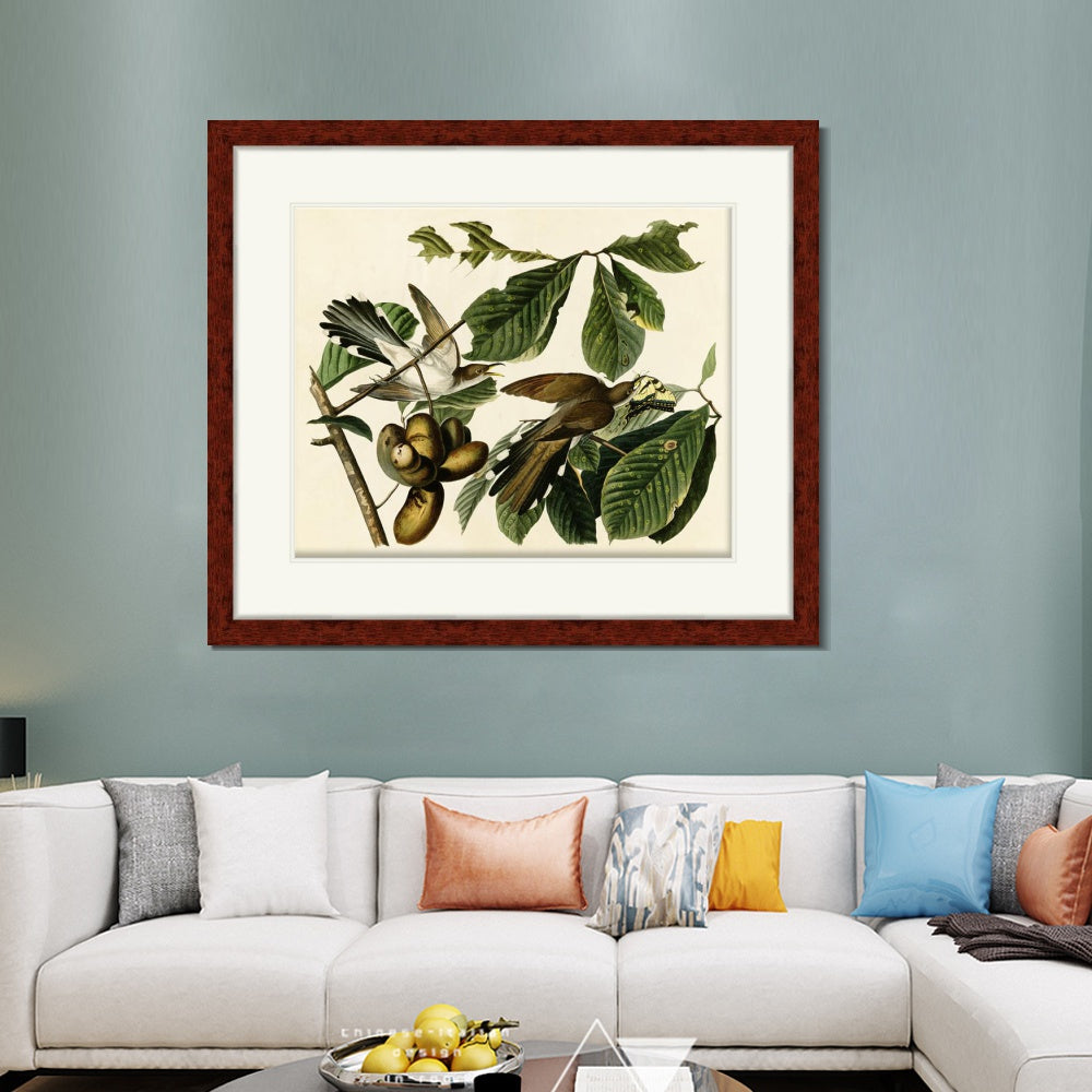 INVIN ART Framed Canvas Art Giclee Print Yellow Billed Cuckoo by John James Audubon  Home Office Wall Art Decorations