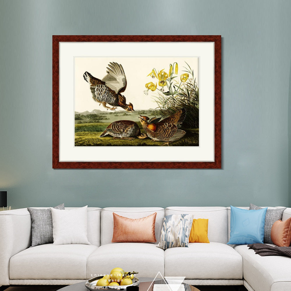 INVIN ART Framed Canvas Art Giclee Print Pinnated Grous by John James Audubon  Home Office Wall Art Decorations