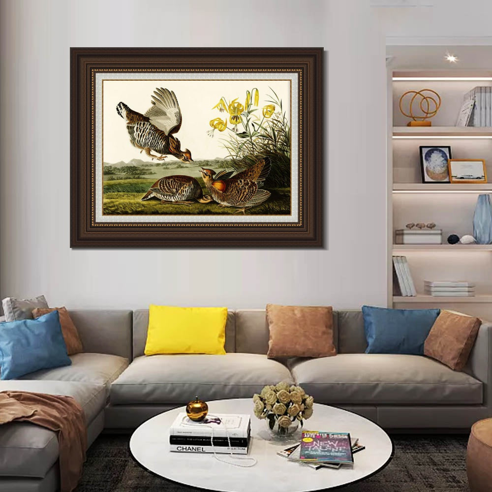 INVIN ART Framed Canvas Art Giclee Print Pinnated Grous by John James Audubon  Home Office Wall Art Decorations