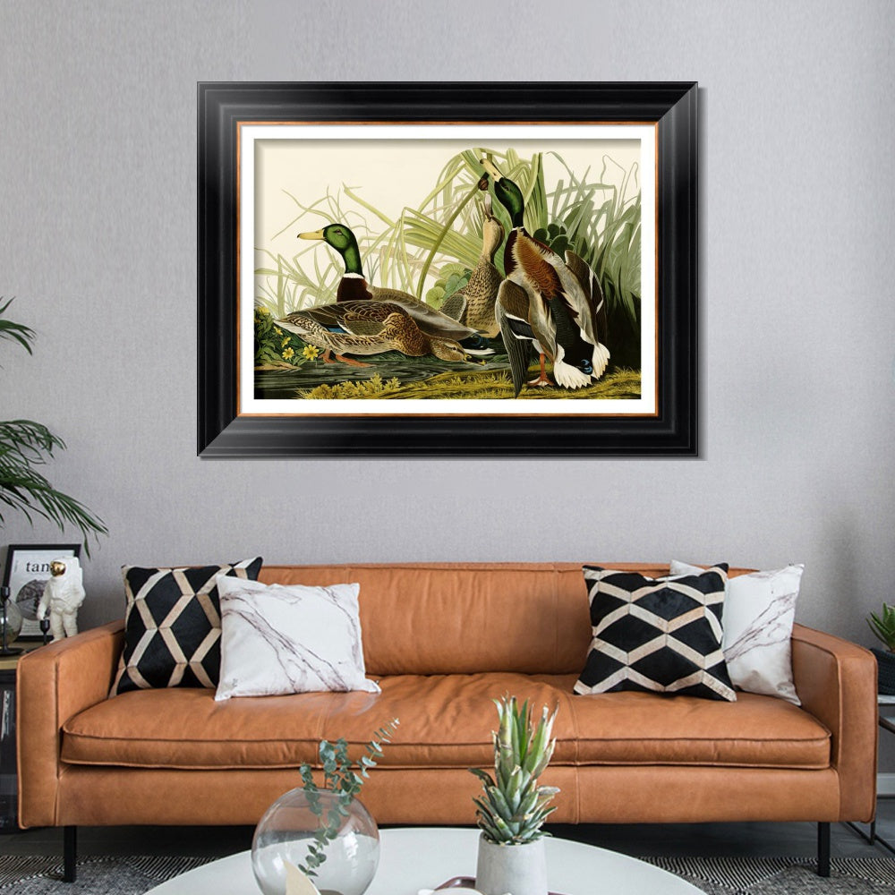 INVIN ART Framed Canvas Art Giclee Print Mallard_Duck by John James Audubon  Home Office Wall Art Decorations