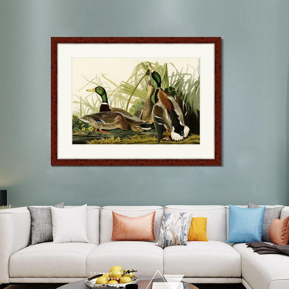 INVIN ART Framed Canvas Art Giclee Print Mallard_Duck by John James Audubon  Home Office Wall Art Decorations