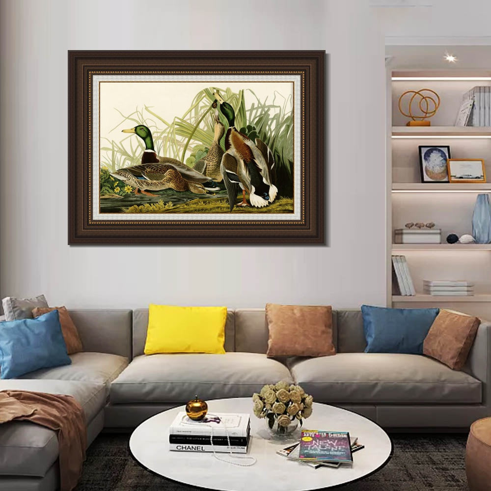 INVIN ART Framed Canvas Art Giclee Print Mallard_Duck by John James Audubon  Home Office Wall Art Decorations