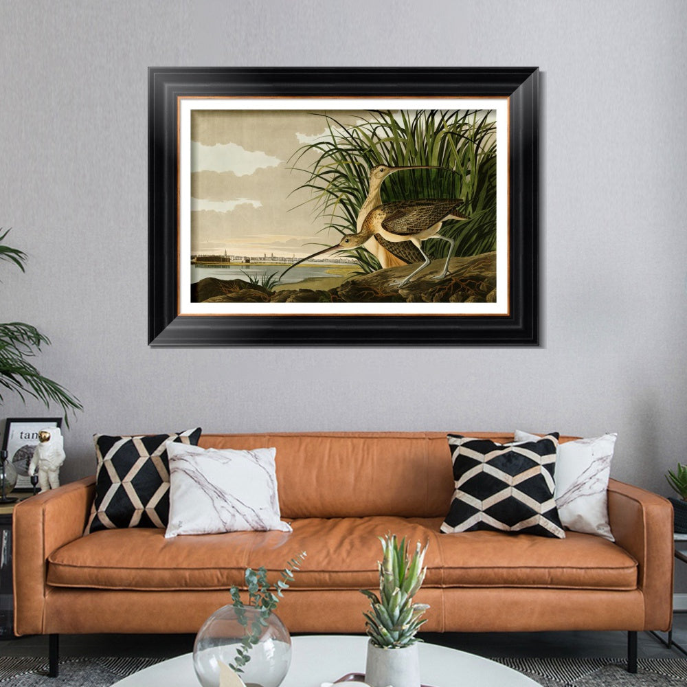INVIN ART Framed Canvas Art Giclee Print Long Billed Curlew by John James Audubon Wall Room Home Office Art Living Decorations