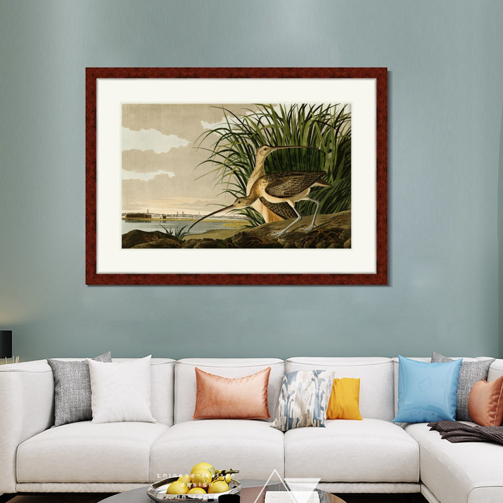 INVIN ART Framed Canvas Art Giclee Print Long Billed Curlew by John James Audubon Wall Room Home Office Art Living Decorations