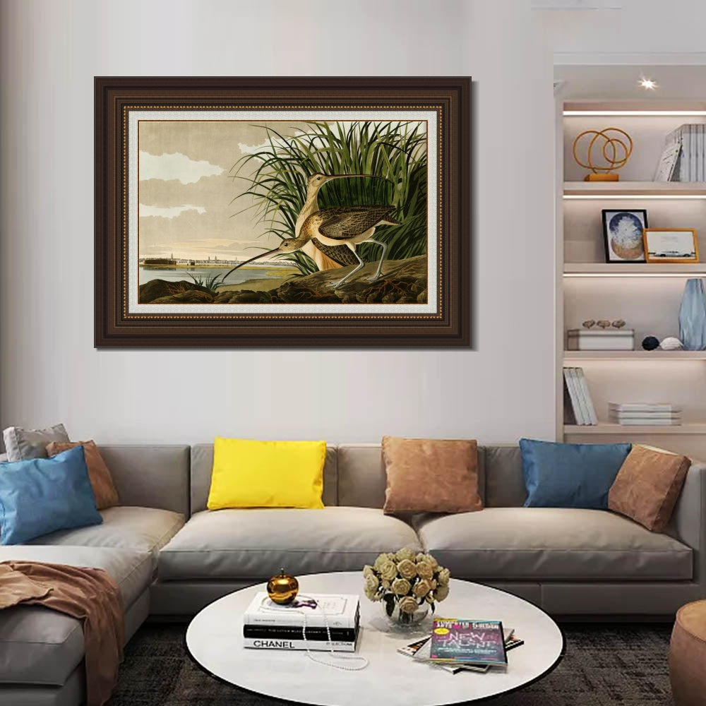 INVIN ART Framed Canvas Art Giclee Print Long Billed Curlew by John James Audubon Wall Room Home Office Art Living Decorations