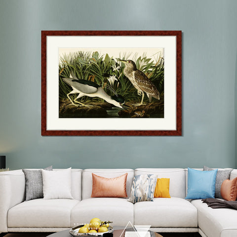 INVIN ART Framed Canvas Art Giclee Print Night Heron or Qua Bird by John James Audubon Living Room Home Office Wall Art Decorations