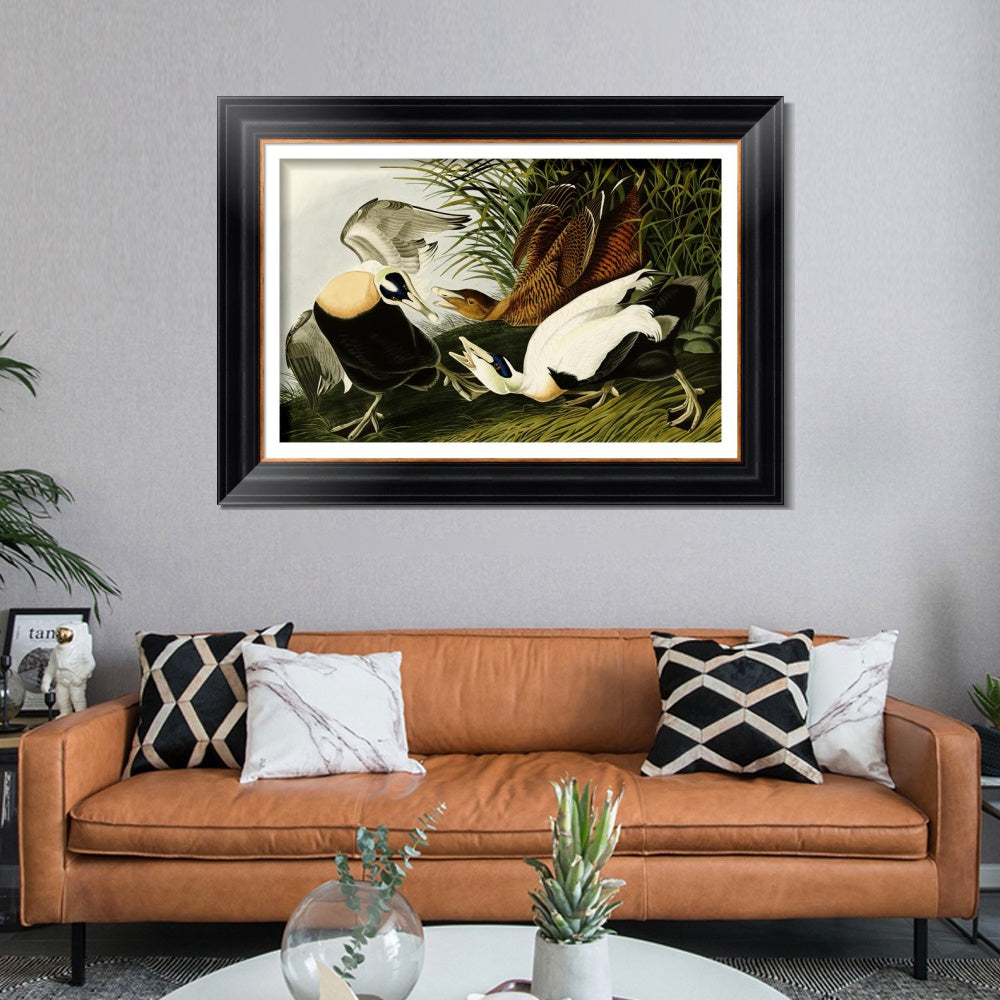 INVIN ART Framed Canvas Art Giclee Print Eider Duck by John James Audubon  Home Office Wall Art Decorations