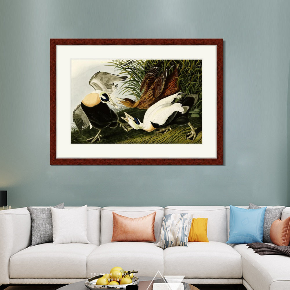 INVIN ART Framed Canvas Art Giclee Print Eider Duck by John James Audubon  Home Office Wall Art Decorations