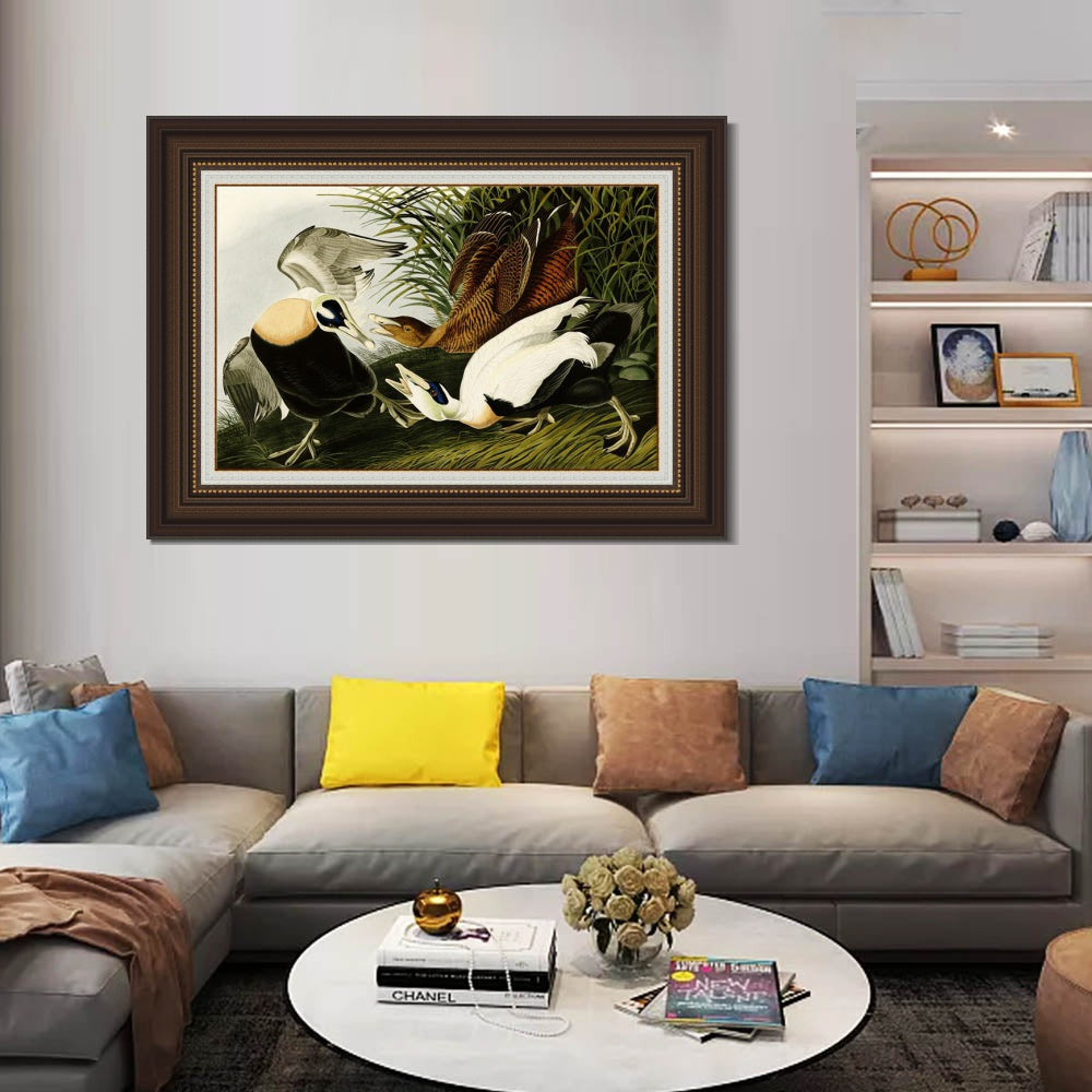 INVIN ART Framed Canvas Art Giclee Print Eider Duck by John James Audubon  Home Office Wall Art Decorations