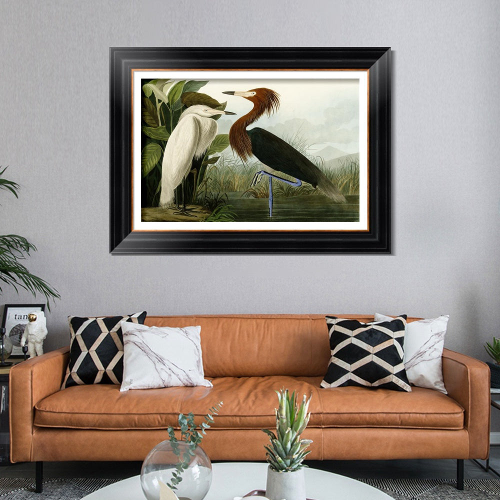 INVIN ART Framed Canvas Art Giclee Print Eider Duck by John James Audubon Wall Art