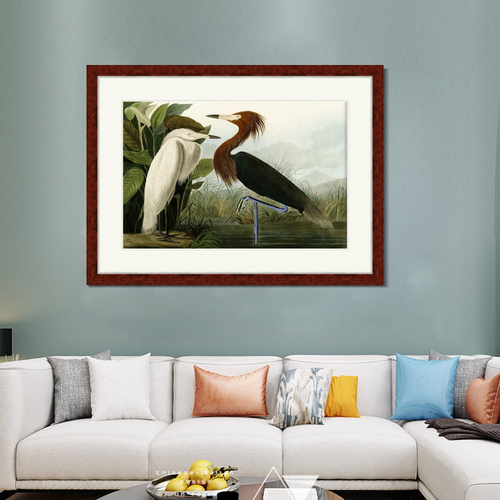 INVIN ART Framed Canvas Art Giclee Print Eider Duck by John James Audubon Wall Art