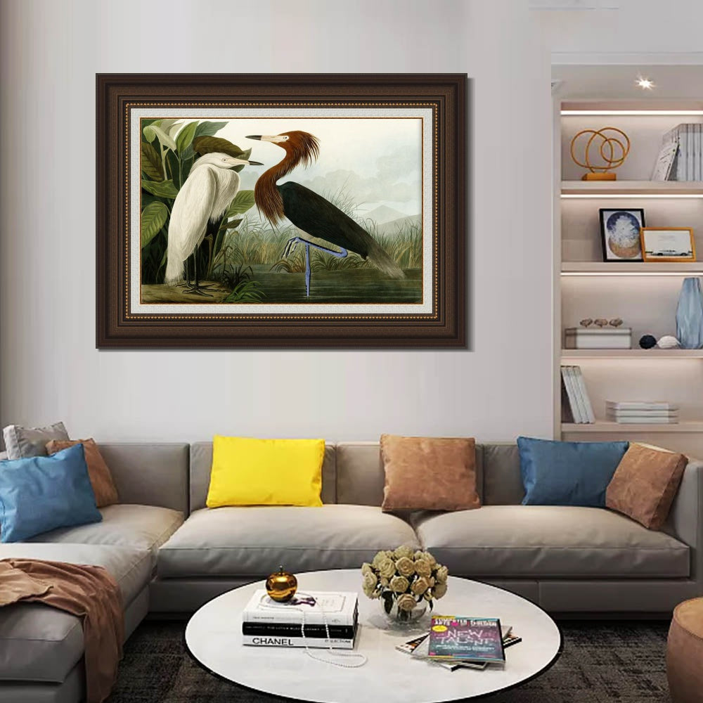 INVIN ART Framed Canvas Art Giclee Print Eider Duck by John James Audubon Wall Art