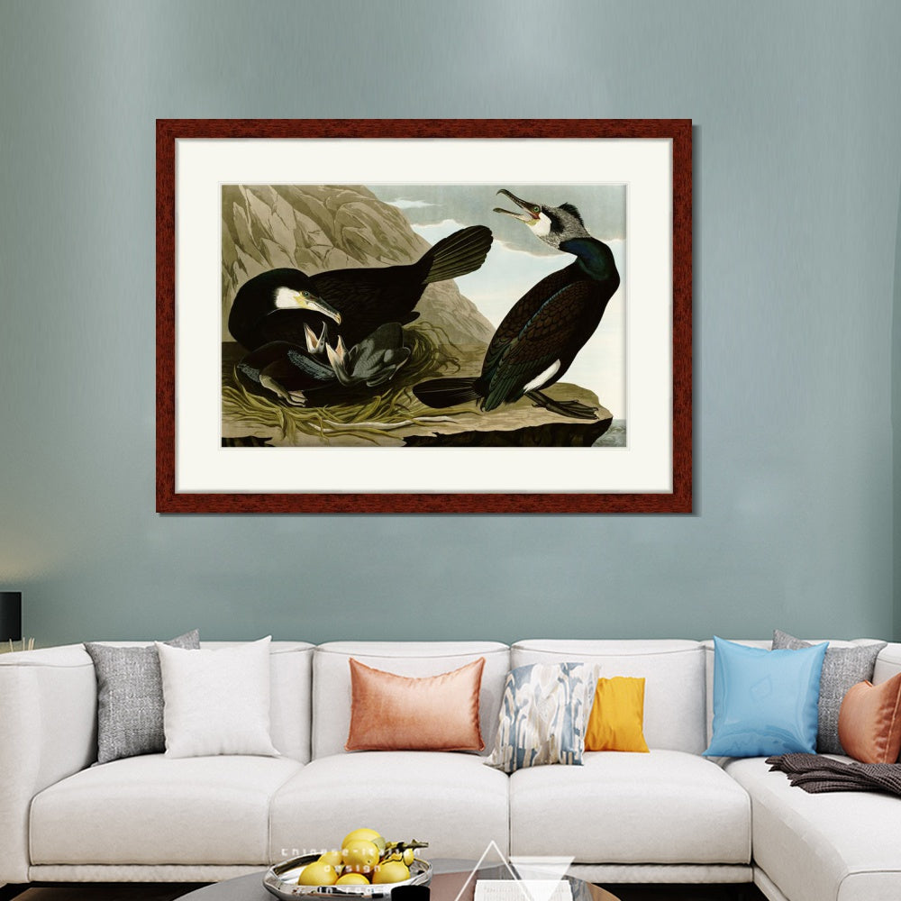 INVIN ART Framed Canvas Art Giclee Print Common Cormorant by John James Audubon  Home Office Wall Art Decorations