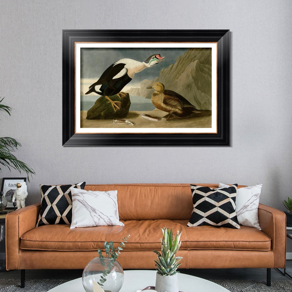INVIN ART Framed Canvas Art Giclee Print King Duck by John James Audubon  Home Office Wall Art Decorations