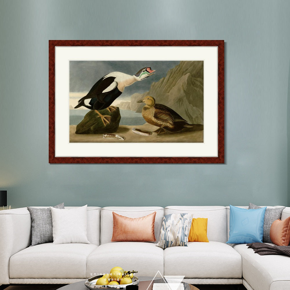 INVIN ART Framed Canvas Art Giclee Print King Duck by John James Audubon  Home Office Wall Art Decorations
