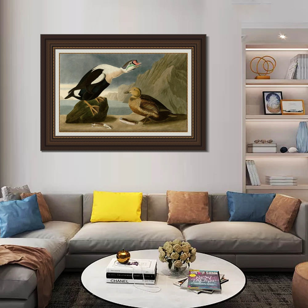 INVIN ART Framed Canvas Art Giclee Print King Duck by John James Audubon  Home Office Wall Art Decorations