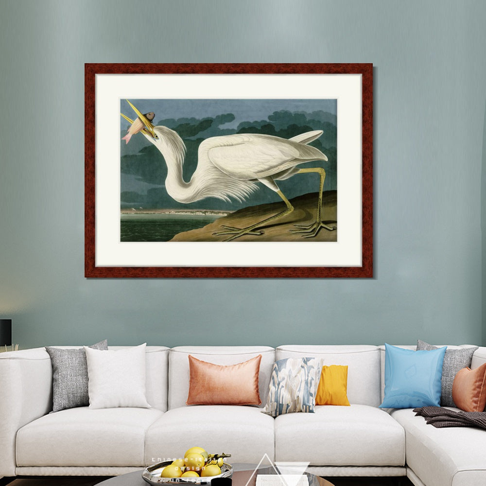 INVIN ART Framed Canvas Art Giclee Print Great White Heron by John James Audubon  Home Office Wall Art Decorations