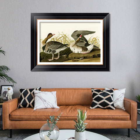 INVIN ART Framed Canvas Art Giclee Print White Fronted Goose by John James Audubon Living Room Home Office Wall Art Decorations