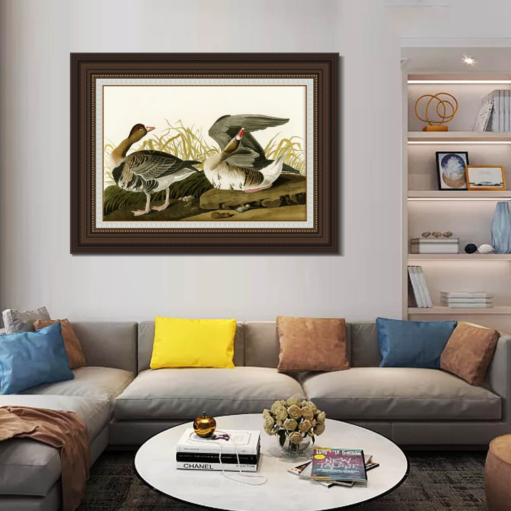 INVIN ART Framed Canvas Art Giclee Print White Fronted Goose by John James Audubon  Home Office Wall Art Decorations