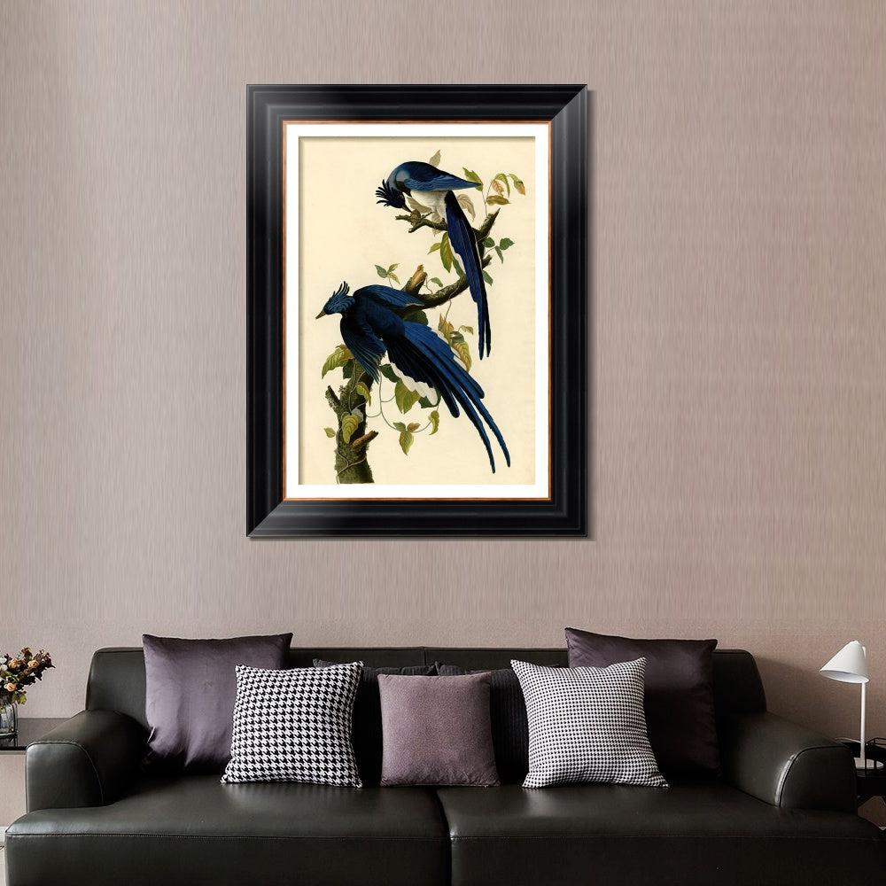 INVIN ART Framed Canvas Art Giclee Print Columbia Jay by John James Audubon  Home Office Wall Art Decorations