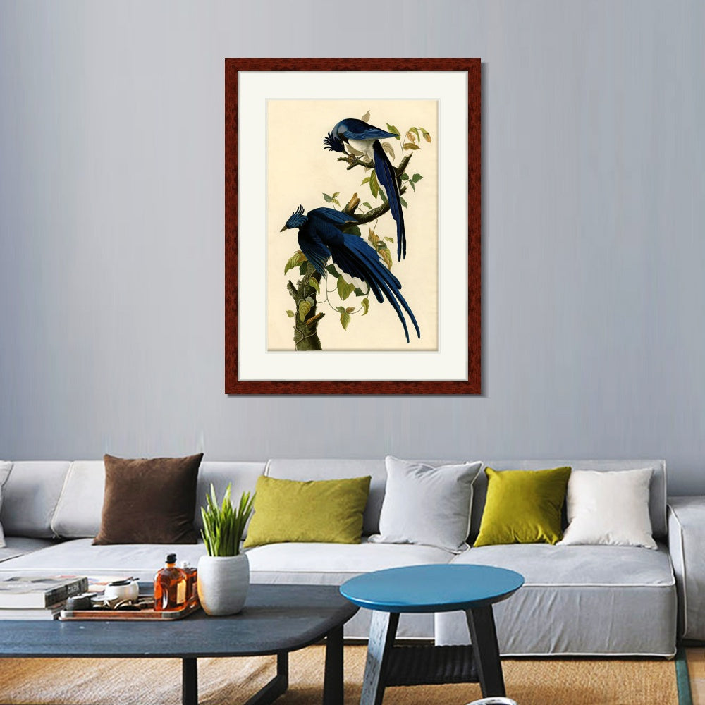 INVIN ART Framed Canvas Art Giclee Print Columbia Jay by John James Audubon  Home Office Wall Art Decorations