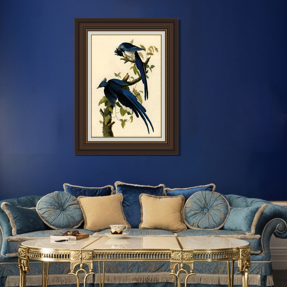 INVIN ART Framed Canvas Art Giclee Print Columbia Jay by John James Audubon  Home Office Wall Art Decorations