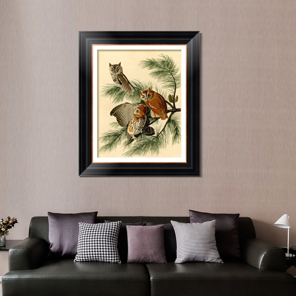 INVIN ART Framed Canvas Art Giclee Print Little Screech Owl by John James Audubon  Home Office Wall Art Decorations