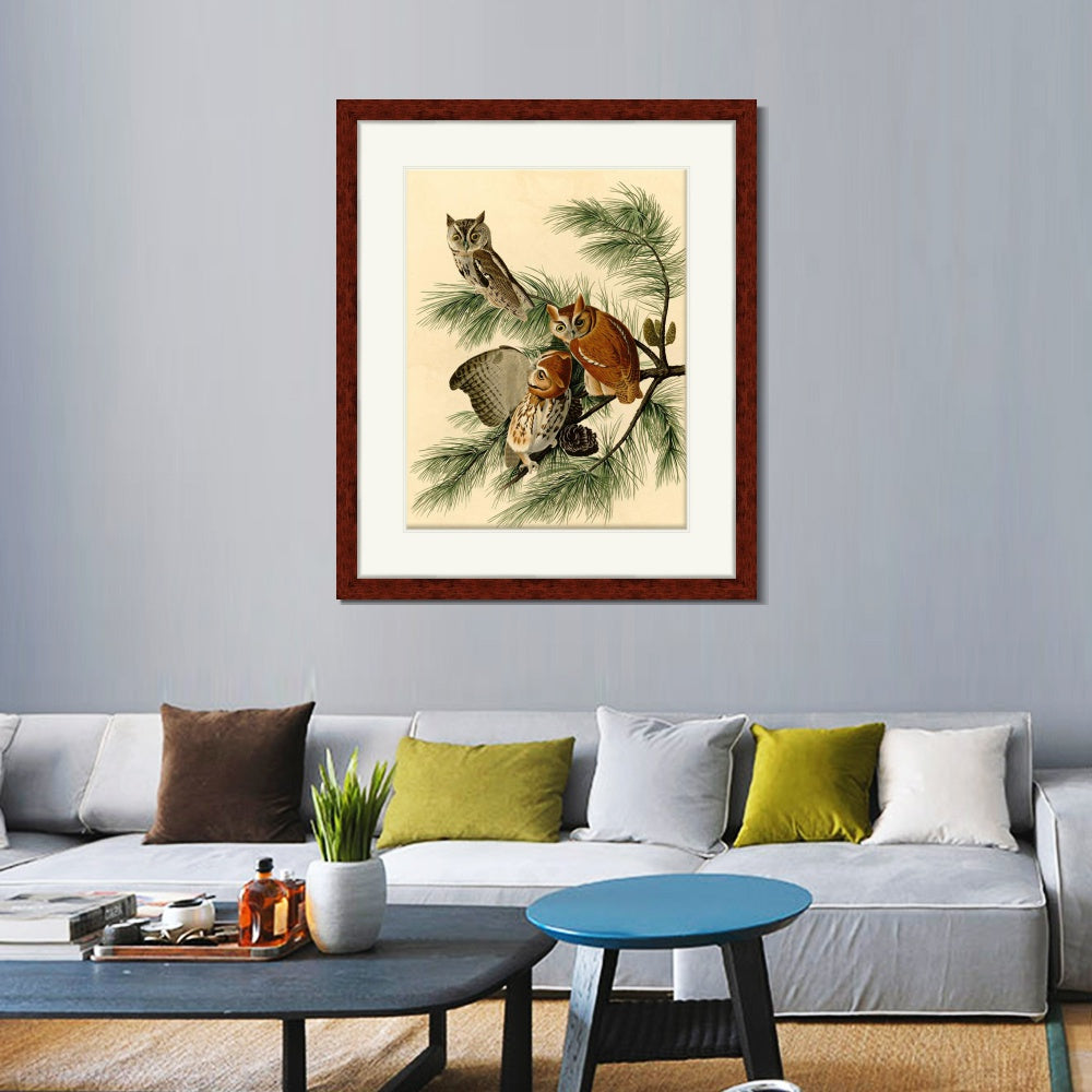INVIN ART Framed Canvas Art Giclee Print Little Screech Owl by John James Audubon  Home Office Wall Art Decorations