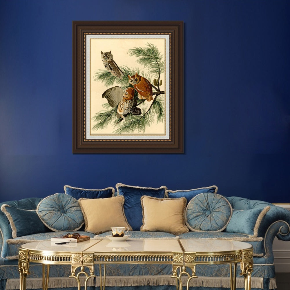 INVIN ART Framed Canvas Art Giclee Print Little Screech Owl by John James Audubon  Home Office Wall Art Decorations