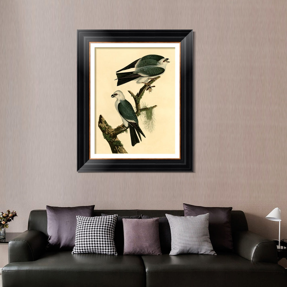 INVIN ART Framed Canvas Art Giclee Print Mississippi Kite by John James Audubon Living Room Home Office Wall Art Decorations