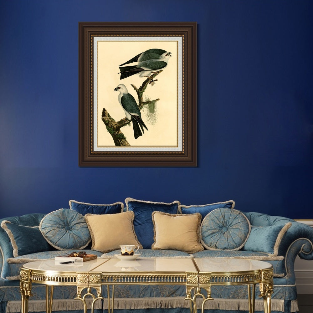 INVIN ART Framed Canvas Art Giclee Print Mississippi Kite by John James Audubon Living Room Home Office Wall Art Decorations