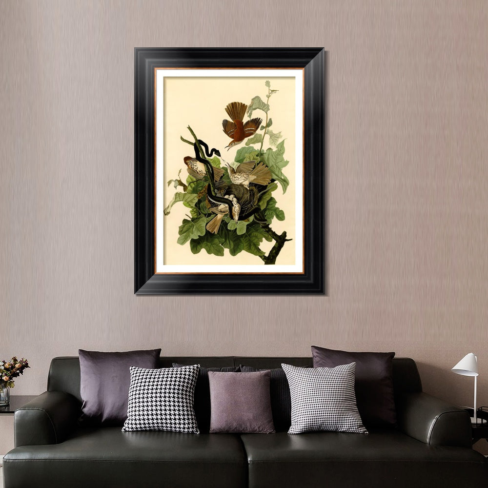 INVIN ART Framed Canvas Art Giclee Print Mississippi Kite by John James Audubon Wall Art