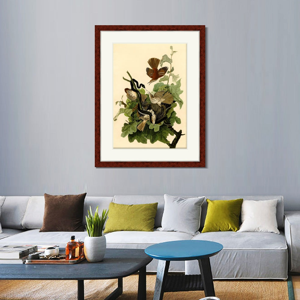 INVIN ART Framed Canvas Art Giclee Print Mississippi Kite by John James Audubon Wall Art