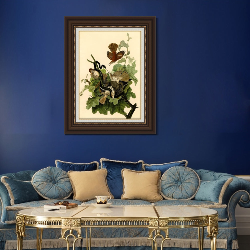 INVIN ART Framed Canvas Art Giclee Print Mississippi Kite by John James Audubon Wall Art