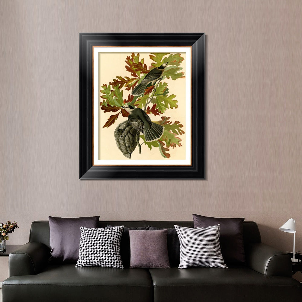 INVIN ART Framed Canvas Art Giclee Print Canada Jay by John James Audubon  Home Office Wall Art Decorations