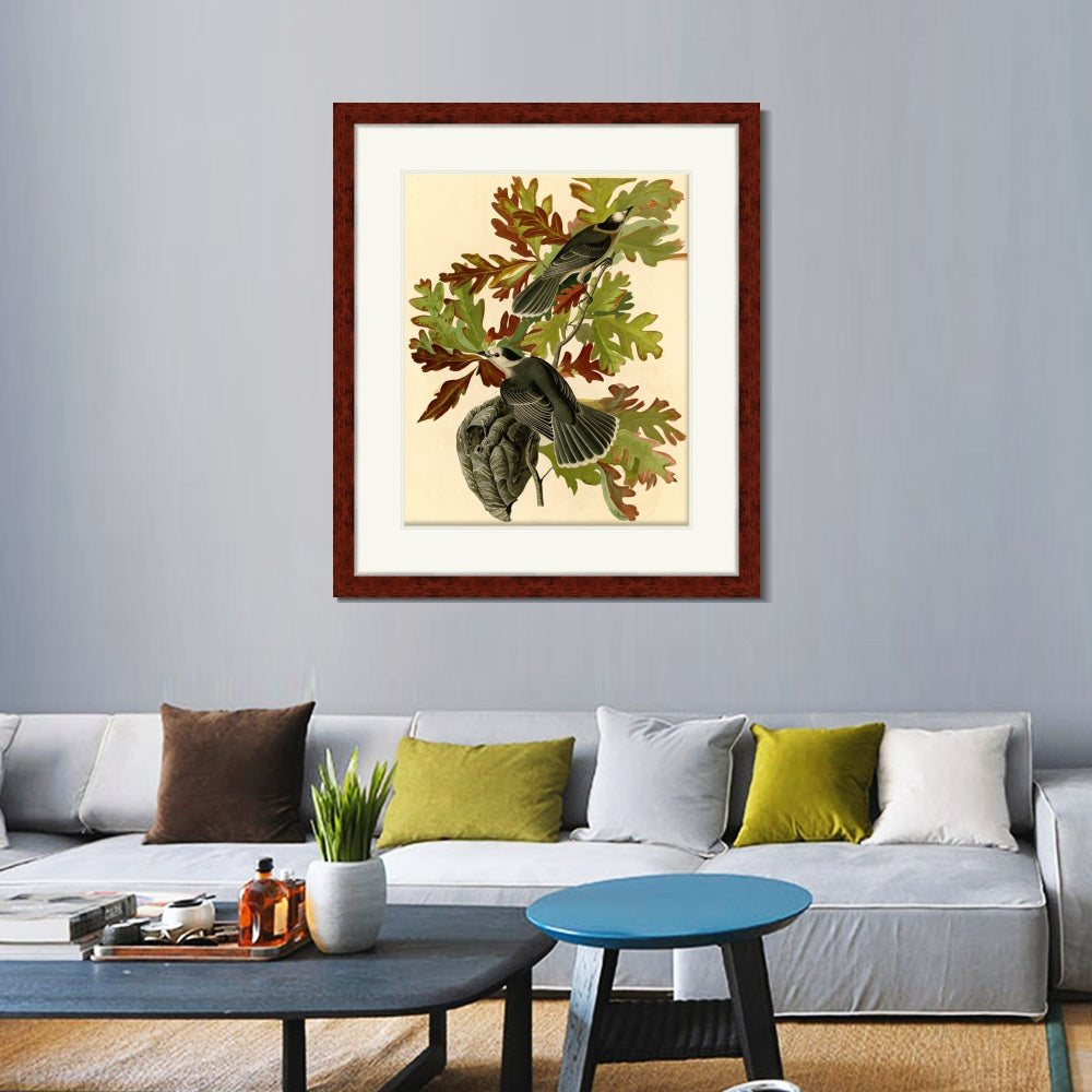 INVIN ART Framed Canvas Art Giclee Print Canada Jay by John James Audubon  Home Office Wall Art Decorations