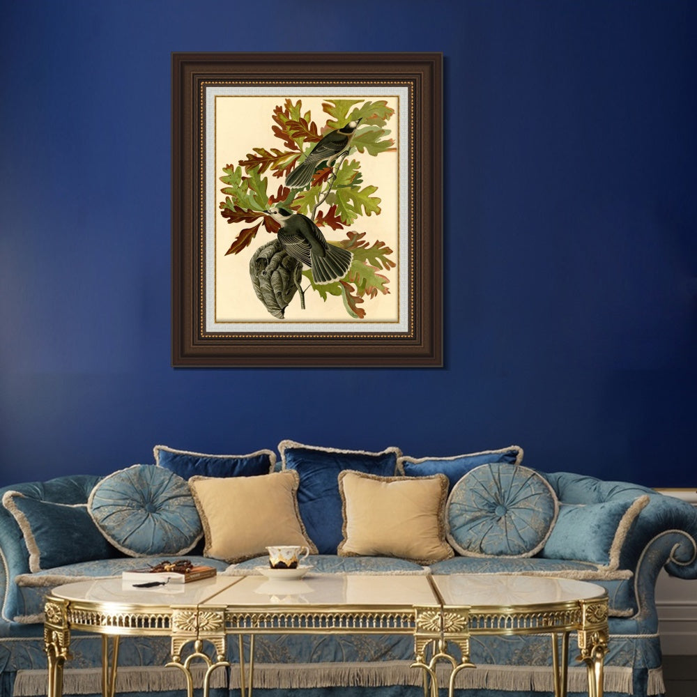 INVIN ART Framed Canvas Art Giclee Print Canada Jay by John James Audubon  Home Office Wall Art Decorations